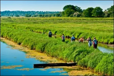 Il s'agit d'un parcours balisé de 446 km, en 23 étapes pour parcourir le littoral de la Manche. On peut y observer la nature avec ses dunes, marais et falaises. Il y a aussi de jolis hameaux, des chevaux, des moutons, des vaches puis la mer, ses plages et les sites de l'Unesco.
Quel est ce sentier où, au milieu de la plus grande étendue de prés salés d'Europe, on peut voir le Mont-Saint-Michel ?