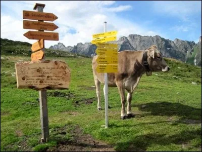 On y retrouve 24 000 km de sentiers balisés de randonnée. Son point culminant est le Grossglockner qu'on voit sur la photo thème. On peut aussi attaquer l'Adlerweg, « la Voie de l'aigle » qui fait 413km. Moi j'ai adoré la ville de Mayrhofen avec ses 200 km de pistes de randonnées et ses 76 km pour le ski. 
Quel est cet endroit où l'on est accueilli dans des charmants refuges et chalets ?