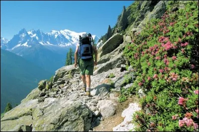 Cette destination est le célèbre centre pour cette randonnée mythique de 215 km, parcourant la France, l'Italie et la Suisse. On peut profiter de paysages légendaires, du Beaufortain à la prestigieuse vallée de Chamonix, en passant par le val Ferret italien et la Suisse, allant des prairies verdoyantes aux pics enneigés.
Nommez cette montagne, la plus élevée d'Europe occidentale, soit 4807 m ?