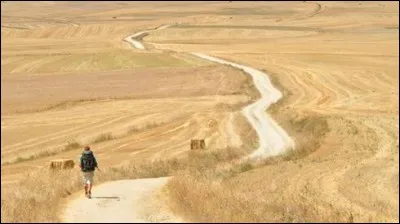 Peut-être le chemin le plus connu, il remonte au XIIe siècle et il est long d'environ 1 500 km. Ses multiples randonnées sauront vous conquérir par leur beauté, leur diversité, et les rencontres que vous y ferez. Le passage des Pyrénées est bien entendu mémorable tant sur le plan spirituel que celui des paysages.
Nommez ce légendaire chemin où l'on trouve la route du Puy-en-Velay à Conques ?