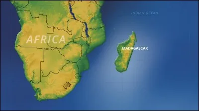 "Madagascar" est un film d'animation.