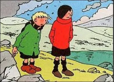 Qui est le créateur de la bande dessinée "Quick et Flupke" ?