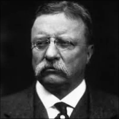 En quelle année Theodore Roosevelt est-il devenu le 29e président des États-Unis ?