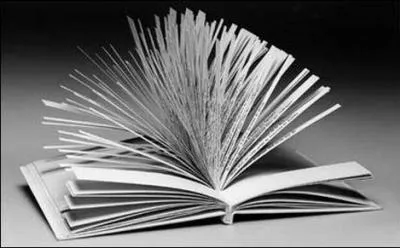 Perec est le crateur de l'OuLiPo. Mais... qu'est-ce que c'est que a ?