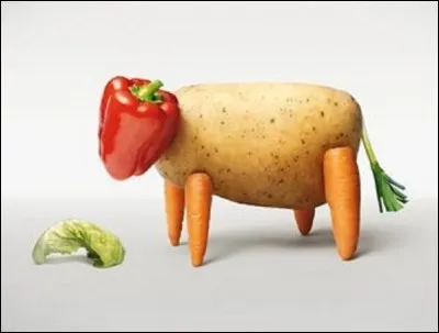 Quel mode de vie consiste à ne consommer aucun produit issu des animaux ou de leur exploitation ?