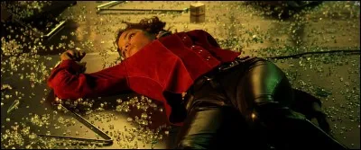 Dans quel film peut-on la voir ainsi ?