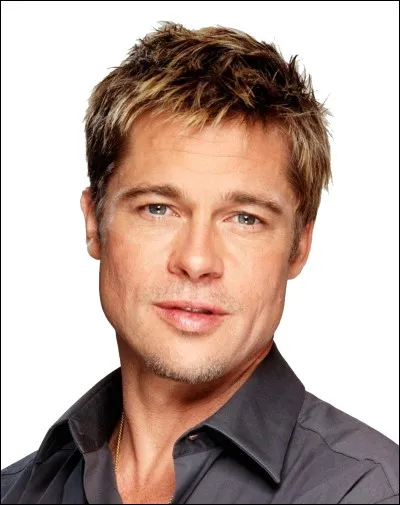 Brad Pitt a fait du nu frontal !