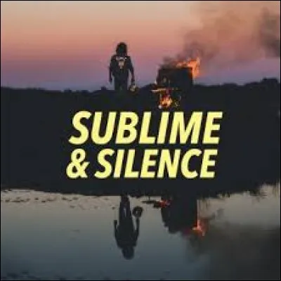 À quel chanteur doit-on "Sublime & Silence" en 2016 ?
