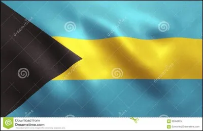 Quel est ce drapeau?