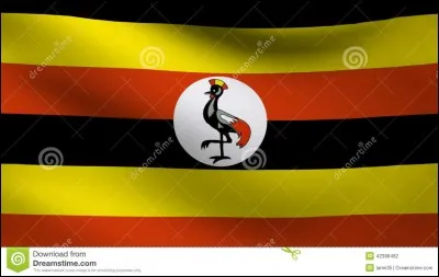 Quel est ce drapeau ?