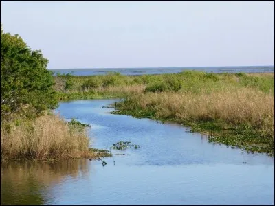 Le lac Okechobee est le plus grand lac de cet État. Lequel est-ce ?