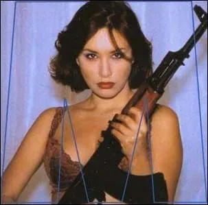 De quelle srie policire Grard De Villiers est-il l'auteur ?