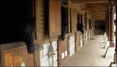 Quels sont les 2 accessoires obligatoires dans les logements de chevaux (box, pré...) ?