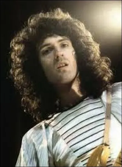 Comment se nomme la guitare de Brian May ?