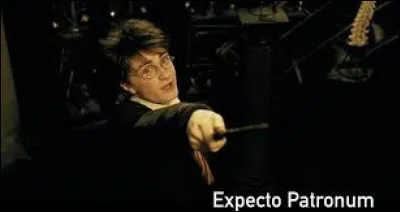 Parmi ces sortilèges, lequel préfères-tu ?