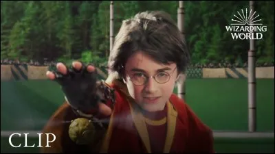 Maintenant, aimes-tu le quidditch ?