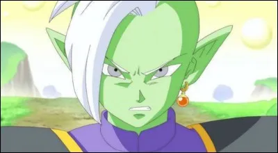 Qui a décidé que Zamasu serait l'apprenti de maître Kaïo ?