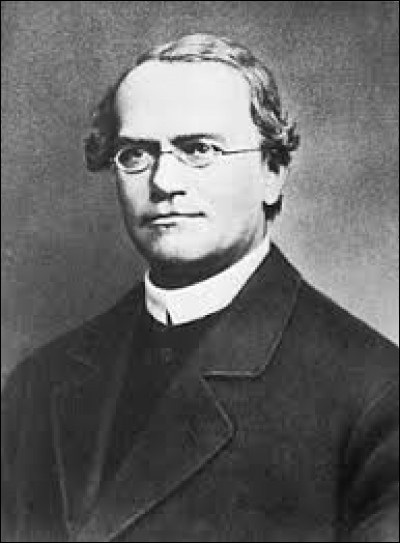 Janvier 1884 : Qu'utilisa Gregor Mendel, le fondateur de la génétique, pour établir les principes de l'hérédité ?
