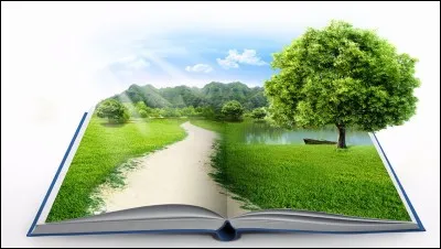 Voici encore de beaux verts, à quel poète appartiennent-ils ? " C'est un trou de verdure où chante une rivière..."