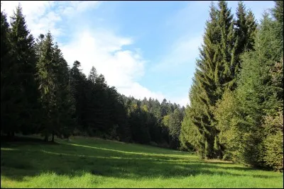 Aimes-tu la nature ?