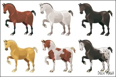 Quelle robe n'existe pas ?