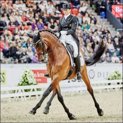Qui est cavalier de dressage ?