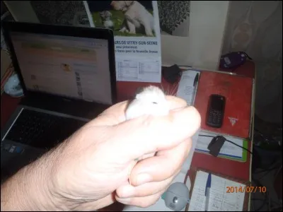 Allez-vous reconnaître cette frimousse ? Cliquez sur la photo pour l'agrandir !