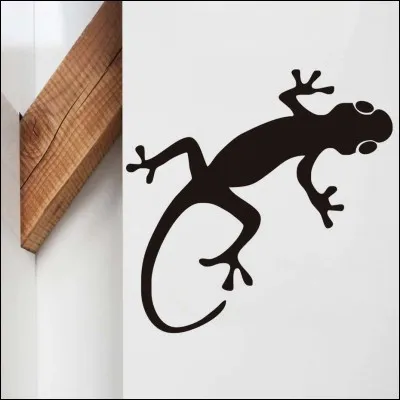 "Lizard" est le nom anglais du lézard.