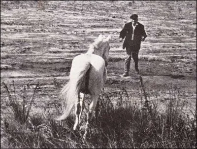 Musique > « Heureux qui comme Ulysse » narre l'aventure d'un vieux cheval de labour sauvé par un vieux cheval de retour (Fernandel). Qui est l'auteur du texte originel de la chanson du film ?