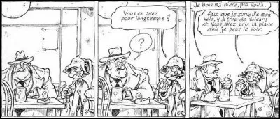 Bandes dessinées > En 3 images, vous êtes déjà sous le charme de cette « charmante » petite vieille, n'est-ce pas ? Alors, son nom et celui de l'auteur. Et plus vite que ça !