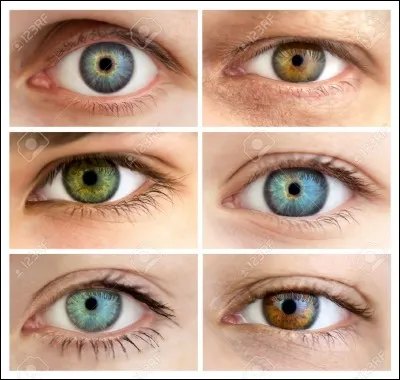 Comment sont tes yeux ?