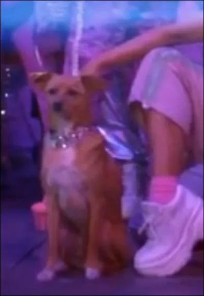 Dans quel clip figure cette image ?