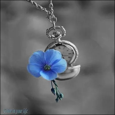 Dans quoi allez-vous apprendre l'info de dernière heure ?