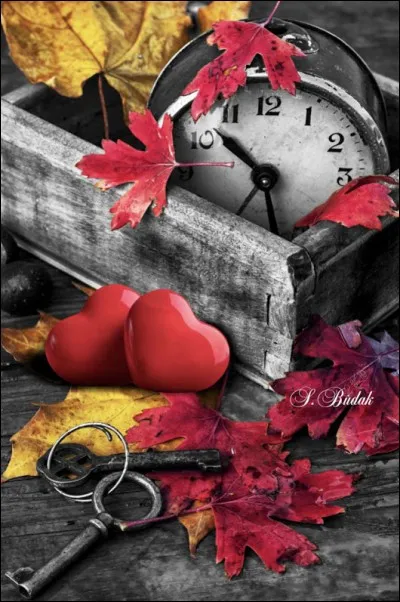 Vous avez réalisé un score de 100 % sur ce quiz ! Vous êtes premier au Top joueur du mois !