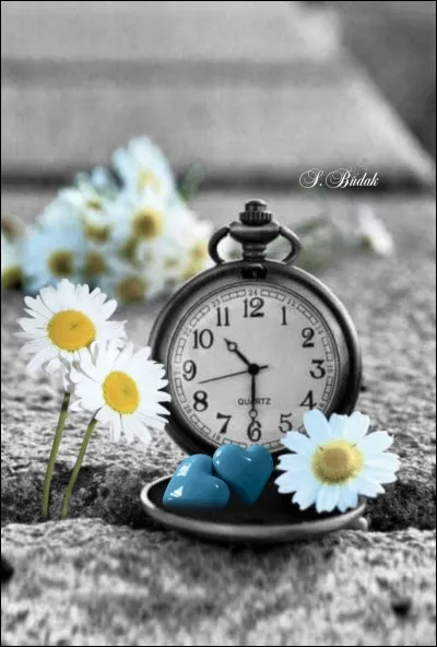 Qui chantait "Y a pas de doute, on est passés à l'heure d'été" ?