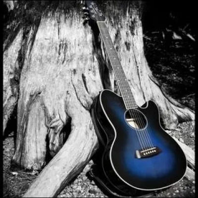 Qui chantait "Avec cette formidable envie, ce rêve en nous c'était son cri à lui, quelque chose de Tenessee" ?