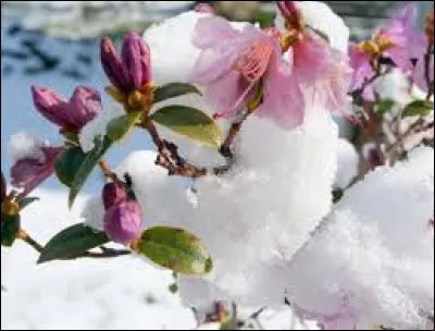 Canton rural dans l'Antiquité romaine et au haut Moyen Âge :