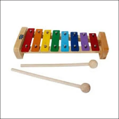 Que voyez-vous sur cette image ?