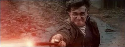 Quels types de sortilèges préfères-tu ?