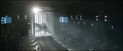 Qui appuie sur le bouton pour faire sortir les dinosaures de leurs cellules ?