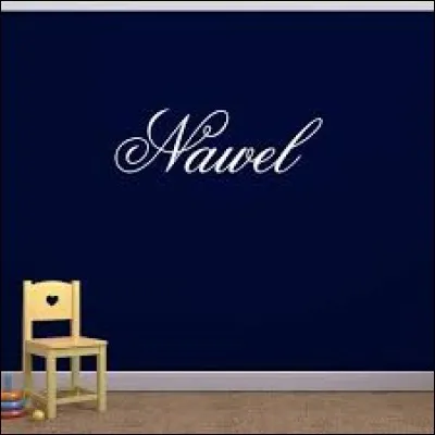 Parmi ces propositions que signifie le prénom Nawel ?