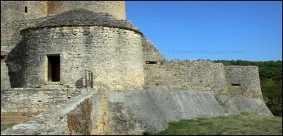 Ce même seigneur, donc à l'origine de nombreux travaux de fortifications, fit bâtir une chicane. Quel est le type de sa couverture ?