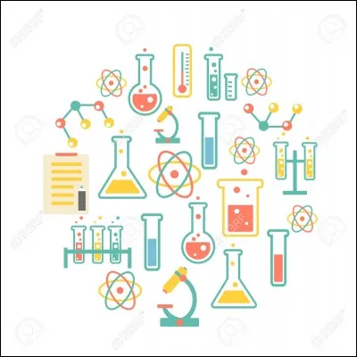 Qu'est-ce qui n'est pas un exemple d'un os plat ?
