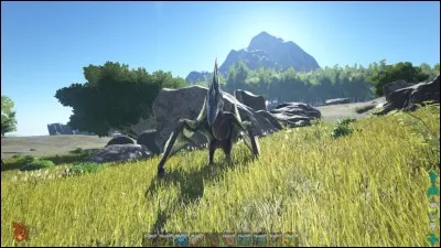 Quel est ce dinosaure ?