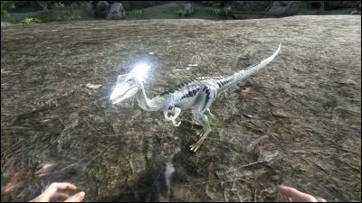 Quel est ce dinosaure ?