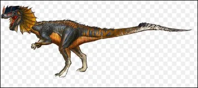 Quel est ce dinosaure ?