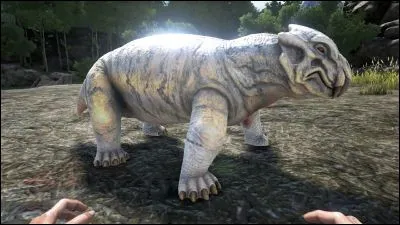 Quel est ce dinosaure ?