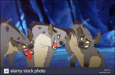 Qui sont ces hyènes ?