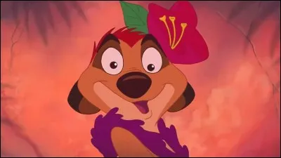 Qui est ce suricate ?