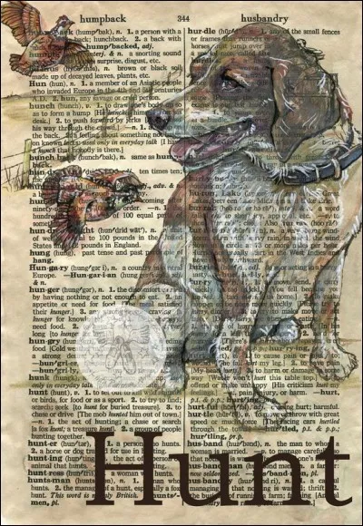 Lequel de ces chiens n'est pas un chien de chasse ?